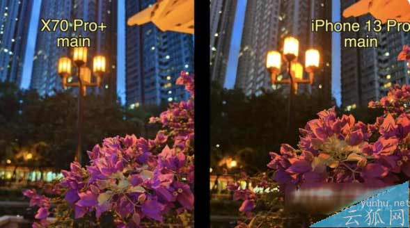 iPhone13Pro拍照对比vivoX70Pro+-哪款手机的拍照性能更好