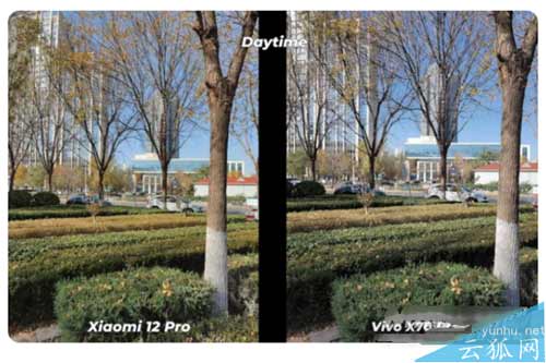 小米12Pro对决vivoX70Pro+-哪款手机拍照性能更好