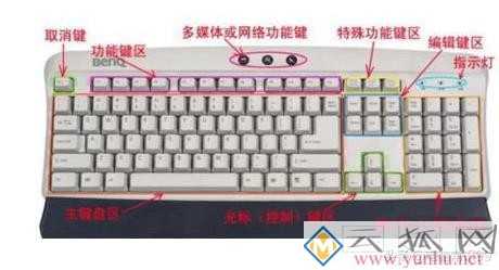 电脑打字手指正确姿势（电脑打字怎么学比较快）(1)