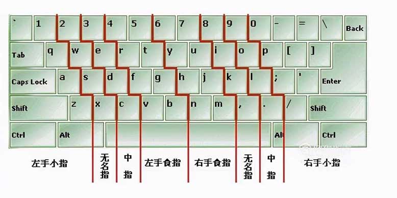 电脑打字手指正确姿势（电脑打字怎么学比较快）(4)