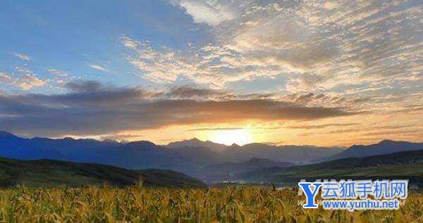 vivox70pro+拍照为什么那么虚-拍照怎么这么的模糊