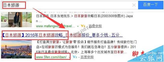 案例分析:交叉链接对网站排名优化的重要性