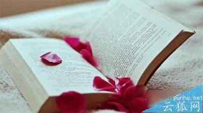 如何去写好SEO原创文章?撰写高质量原创文章的技巧