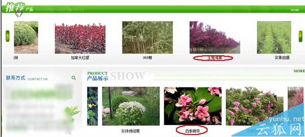 网站常见的四个问题实例剖析