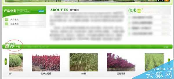 网站常见的四个问题实例剖析