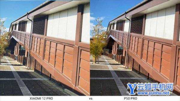 小米12pro拍照对比华为p50pro-哪款手机拍照性能更好