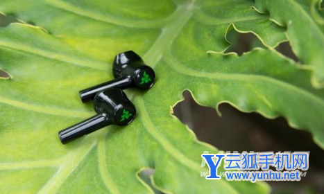 雷蛇战锤狂鲨真无线X蓝牙耳机评测-性价比高吗