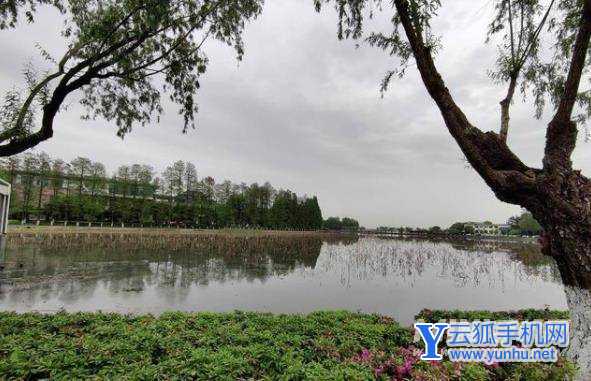 一加9R拍照怎么样-拍照详情