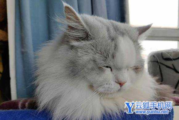 一加9R拍照怎么样-拍照详情