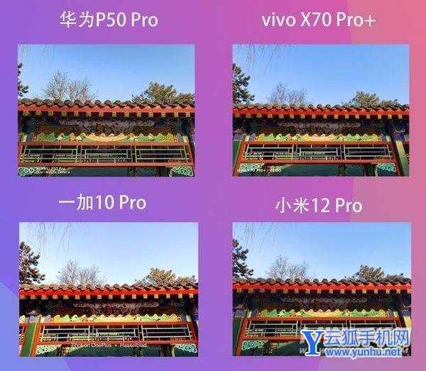 小米12Pro、一加10Pro、vivoX70Pro+、华为P50Pro哪款手机拍照更好-手机拍照实测