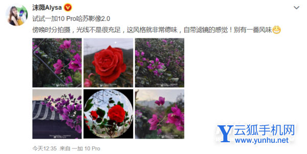 一加10Pro的哈苏2.0的拍照效果怎么样-手机哈苏拍照效果好吗