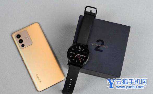 vivowatch2全面评测-体验测评