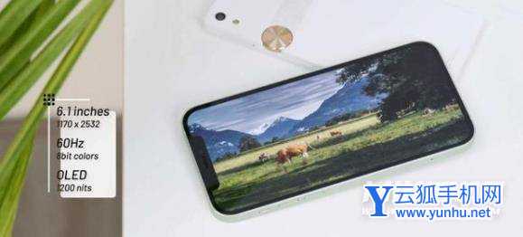 小米12x和iPhone12有什么区别-哪个性价比更高-参数对比