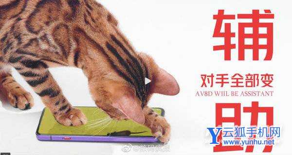 红魔7Pro透明版参数配置-详细参数配置