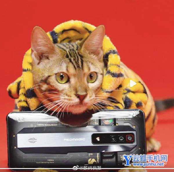 红魔7Pro透明版参数配置-详细参数配置