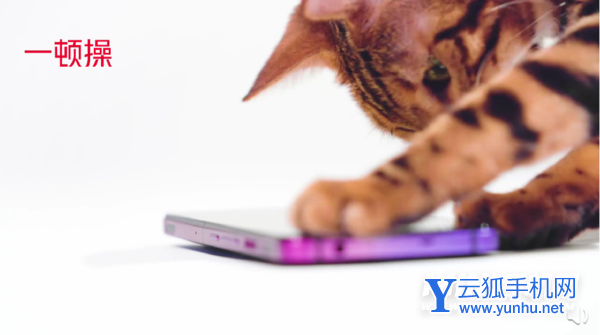 红魔7外观怎么样-真机外观详解