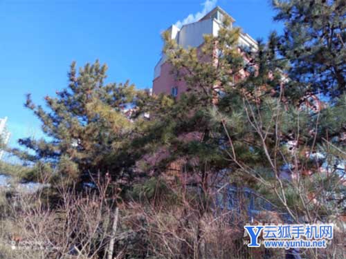 荣耀60se手机拍照性能怎么样-手机拍照评测(图4)