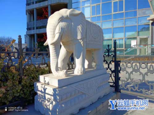 荣耀60se手机拍照性能怎么样-手机拍照评测(图3)