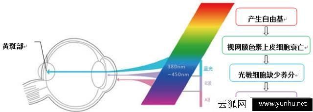 手机护眼模式有用吗 解密手机护眼模式原理