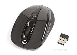 鼠标不动是什么原因