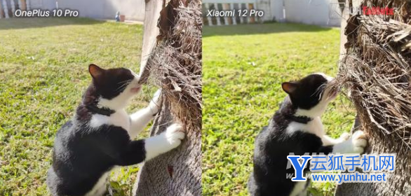 一加10Pro对比小米12Pro该怎么选择-哪款手机性价比更高