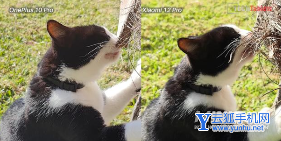 一加10Pro对比小米12Pro该怎么选择-哪款手机性价比更高