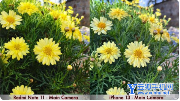 iPhone13和红米Note11手机拍照方面哪款更好-手机拍照性能分析