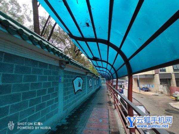 红魔7Pro手机拍照性能怎么样-手机拍照评测