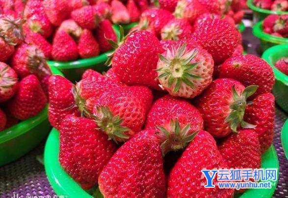 红魔7全面评测-性能深度测评