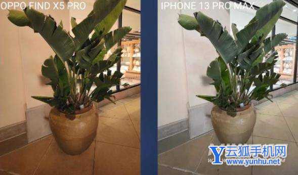 oppofindX5Pro和iPhone13promax拍照对比-哪个拍照性能更强