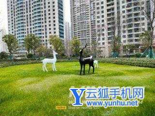 真我v25手机拍照性能怎么样-手机拍照评测