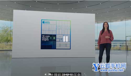 iPhoneSE3和iPhoneSE2区别是什么-哪款更值得入手