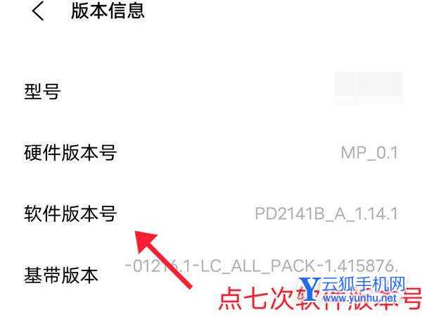 iqooneo5s在哪里可以设置手机的开发者模式