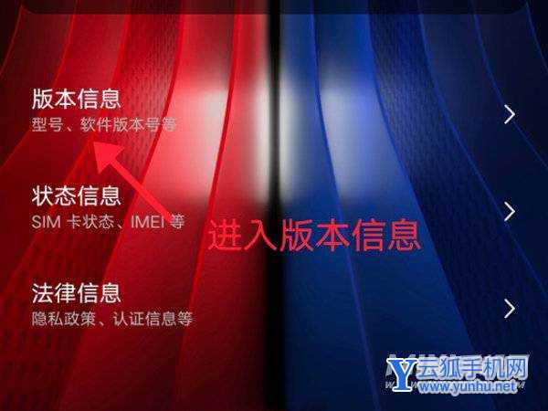 iqooneo5s在哪里可以设置手机的开发者模式