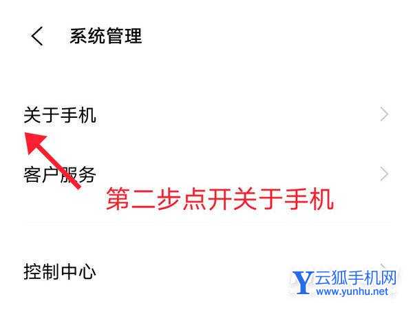 iqooneo5s在哪里可以设置手机的开发者模式