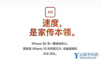 iPhoneSE3与iPhone11手机参数对比哪款值得入手？