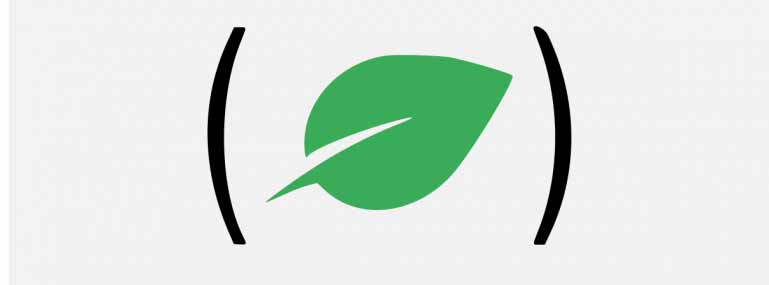 Chialisp是哪样意思？什么是 Chia 网络策略?