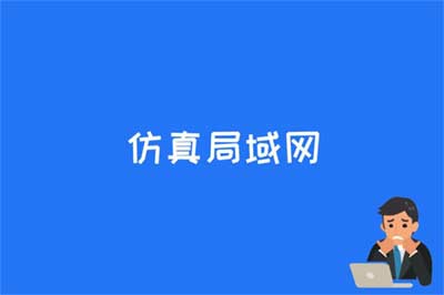 仿真局域网是什么
