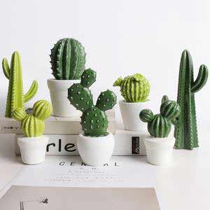 什么植物放在电脑前比较好