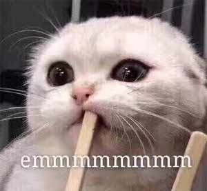 emm表情是什么意思?各种emm表情包为了不尴尬冷场用(图7)