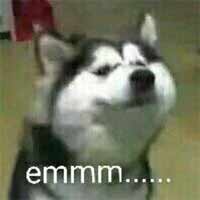 emm表情是什么意思?各种emm表情包为了不尴尬冷场用(图2)