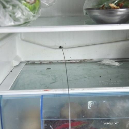 冰箱内部的排水孔如何清理