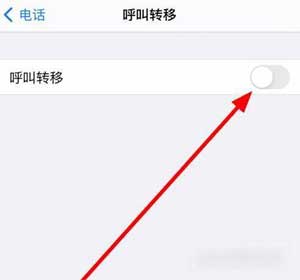 iphone12怎么设置来电转移(图文)