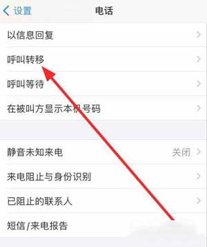 iphone12怎么设置来电转移(图文)