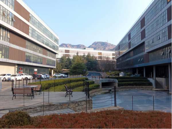 vivoY33s日常成像怎么样-拍照模糊吗