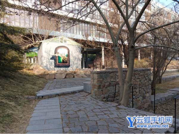 vivoY33s日常成像怎么样-拍照模糊吗