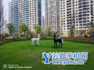 华为nova9SE一亿像素体验怎么样-手机拍照清晰吗