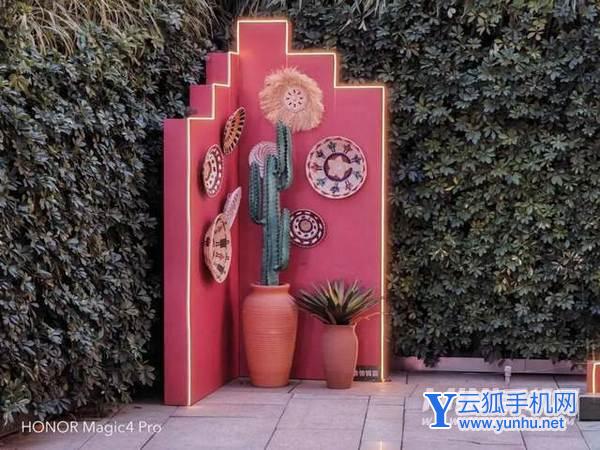 荣耀magic4Pro和三星s22Ultra拍照方面哪个更好-手机拍照评测