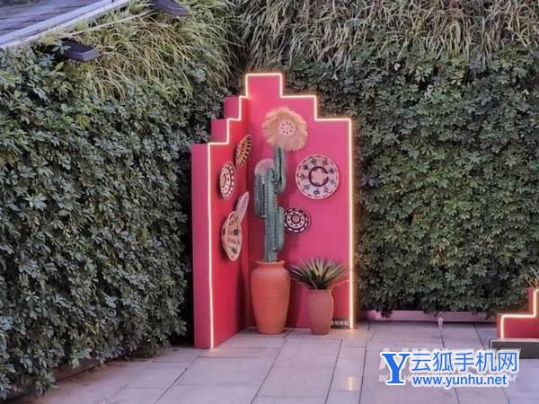 荣耀magic4Pro和三星s22Ultra拍照方面哪个更好-手机拍照评测