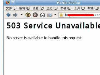 HTTP Error 503 错误解决办法